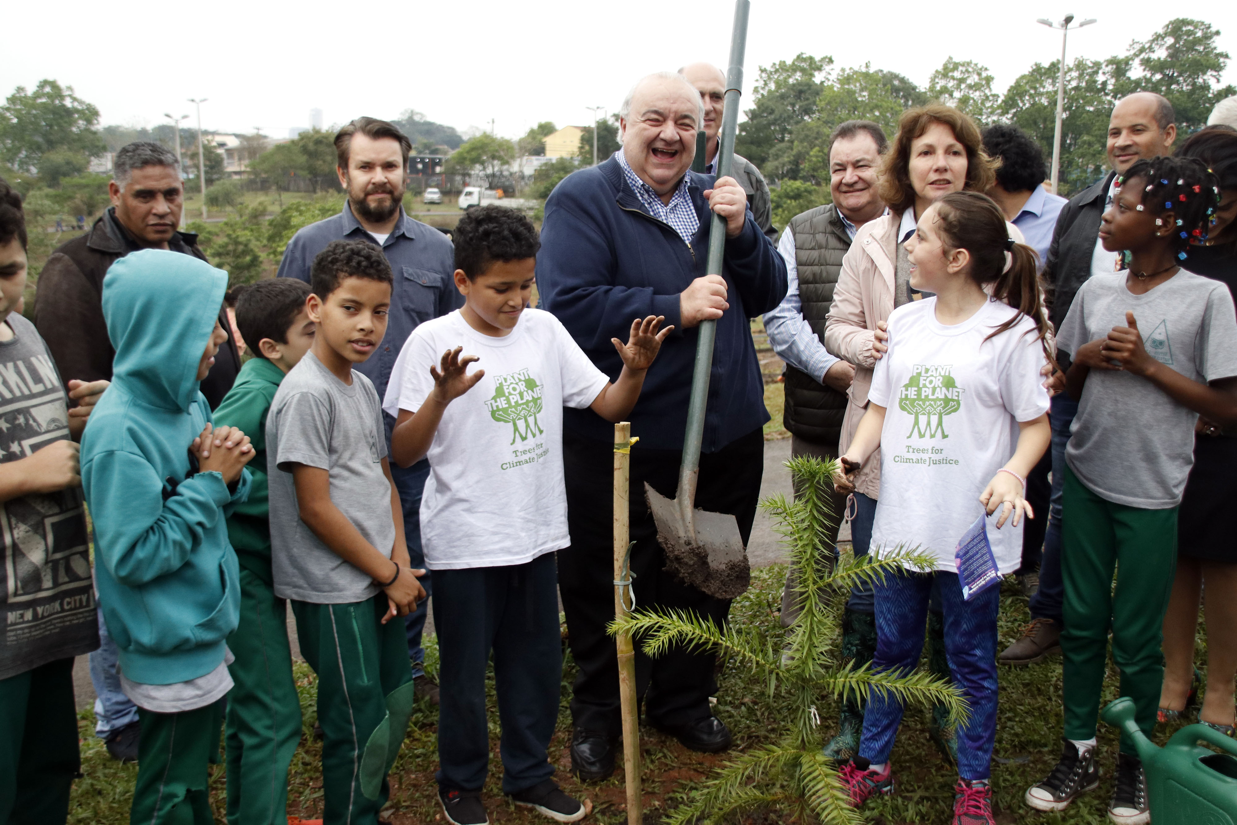 árvores altas demais para quintal