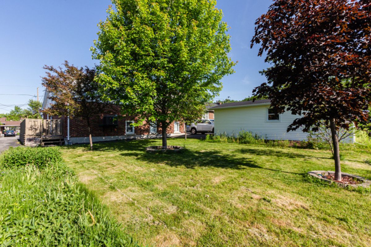 espécies de árvores adequadas para áreas urbanas