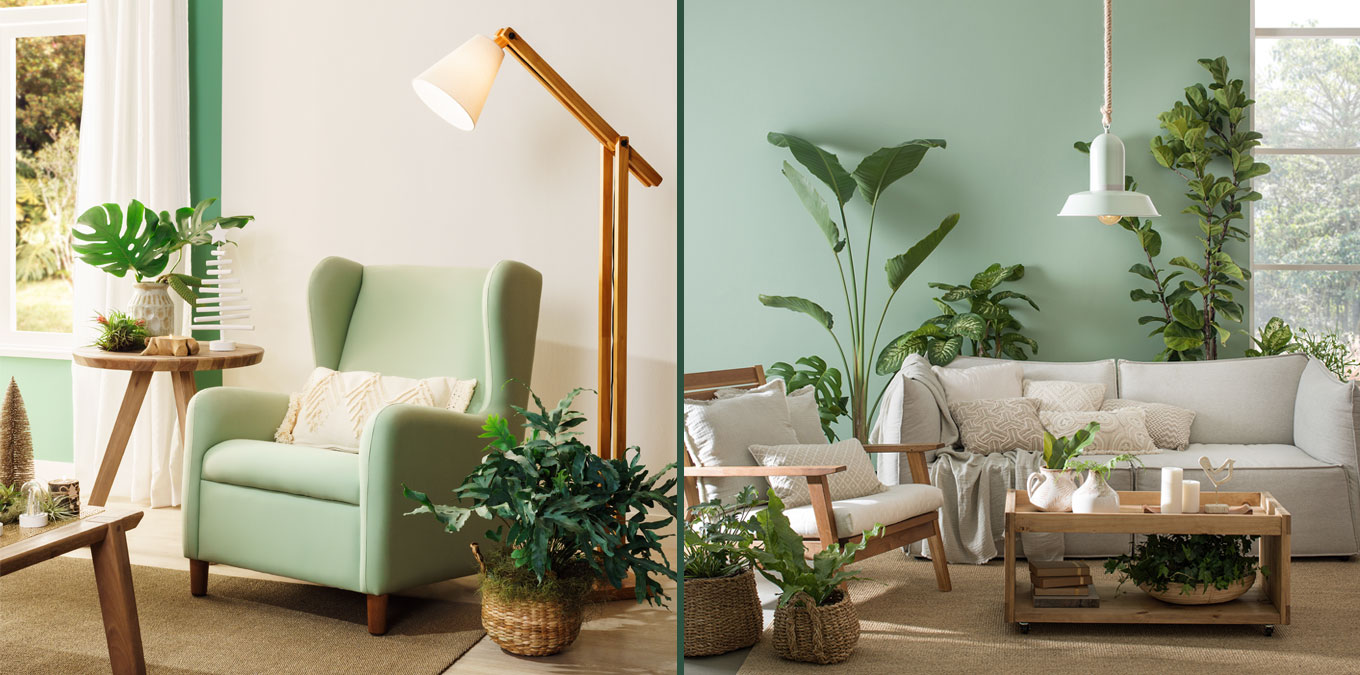 plantas na sala de estar