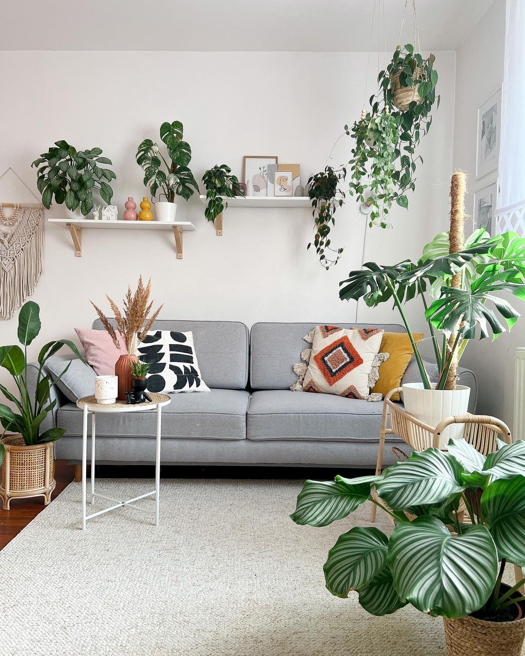 Como combater pragas em plantas de casa