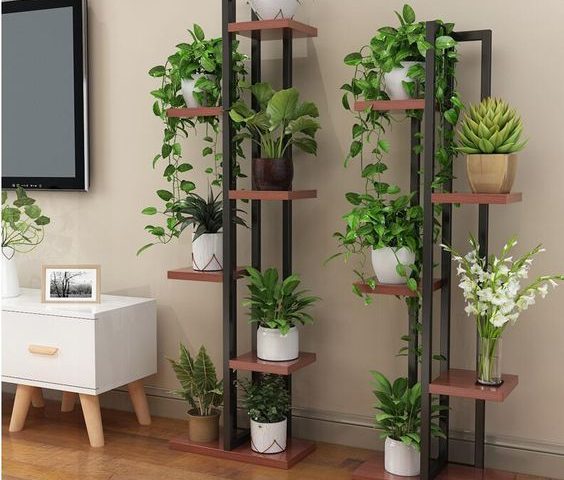 5 erros comuns ao cuidar de plantas de interior