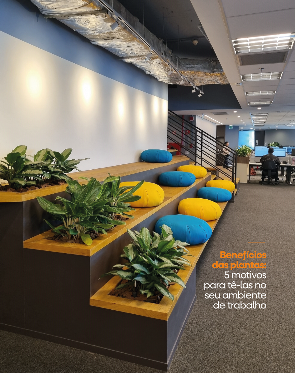 Guia Completo: As 10 Melhores Plantas para Escritórios Pequenos