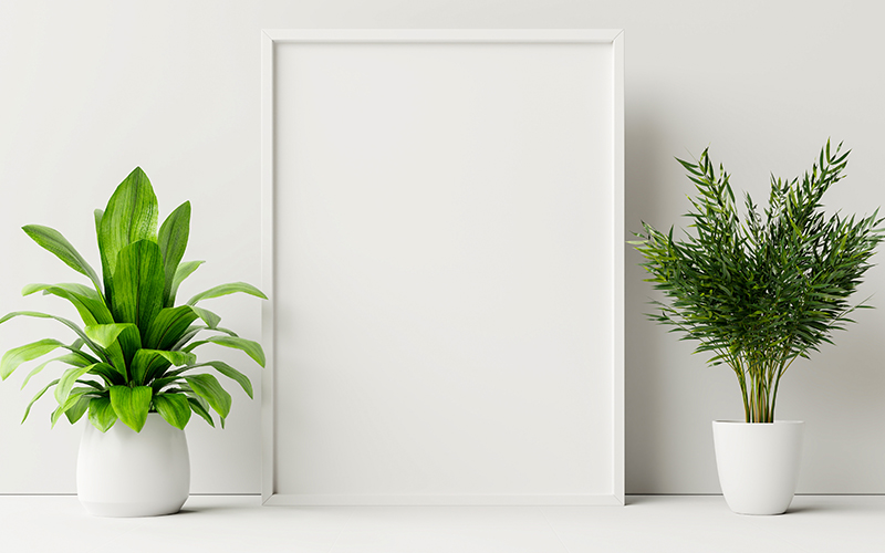 Plantas que Sobrevivem ao Ar Condicionado: Um Guia Essencial