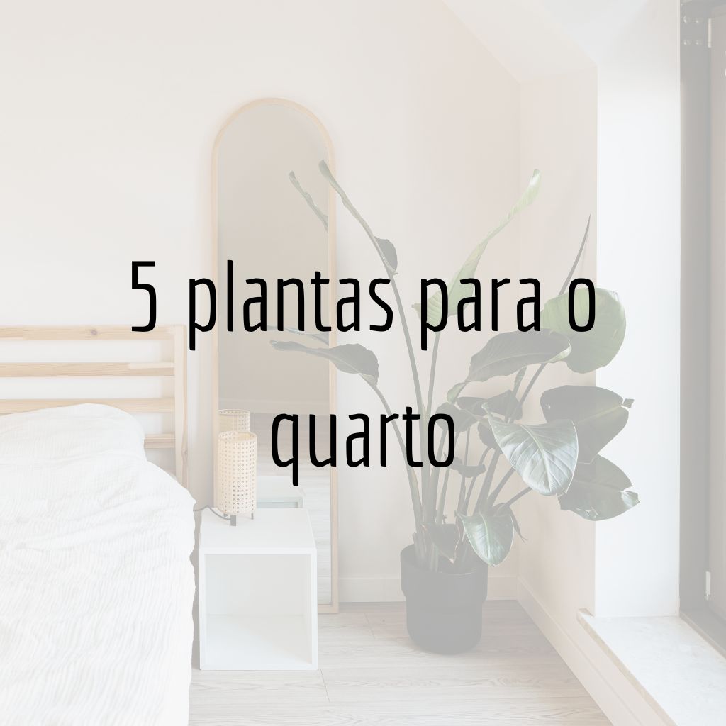 As Melhores Plantas para Quartos Escuros e com Pouca Manutenção