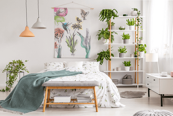 Mitos e Verdades sobre Plantas no Quarto: Elas Roubam Oxigênio?