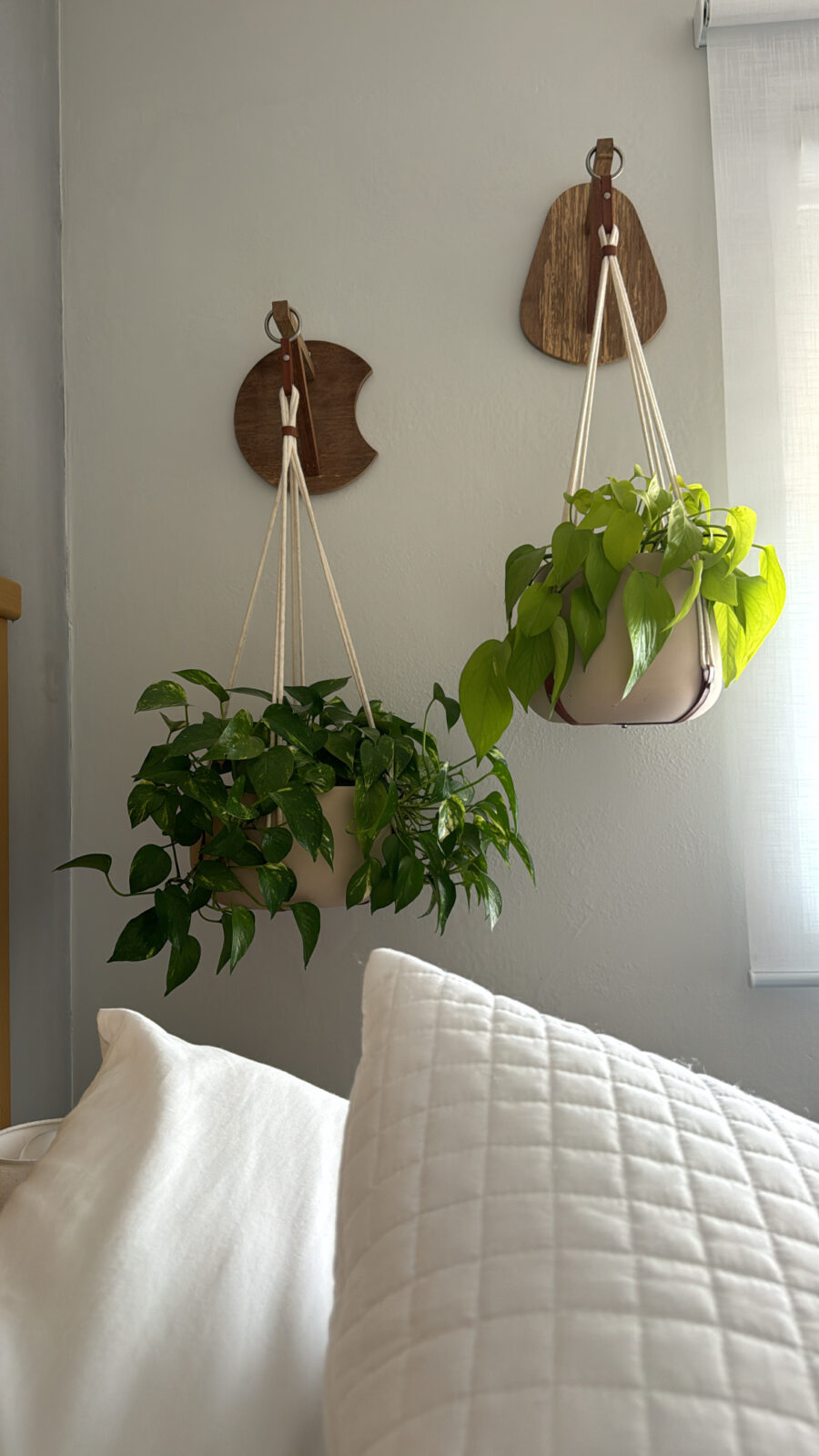 Guia Completo de Cuidados para Plantas de Quarto: Iluminação e Rega Ideal