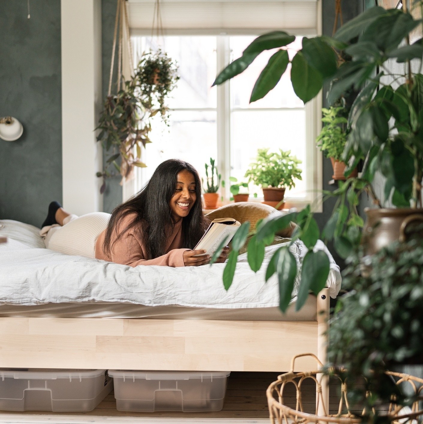 Plantas para Aliviar Rinite e Garganta Seca no Quarto