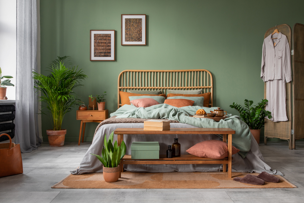 Plantas para Aliviar Rinite e Garganta Seca no Quarto