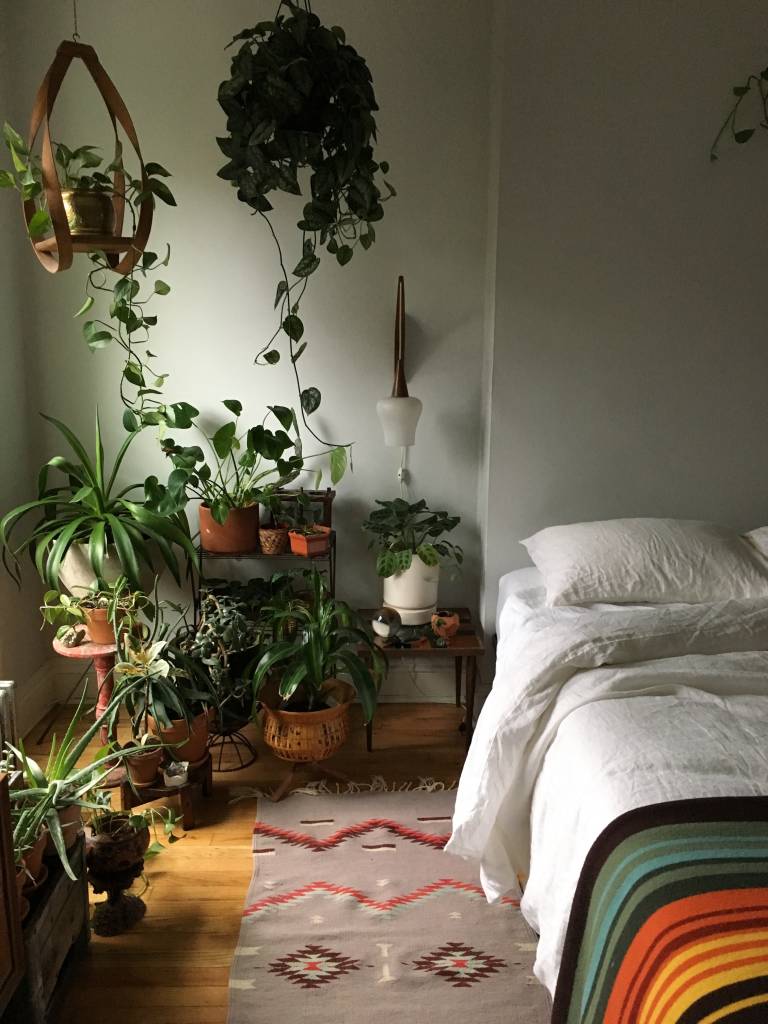 plantas no quarto