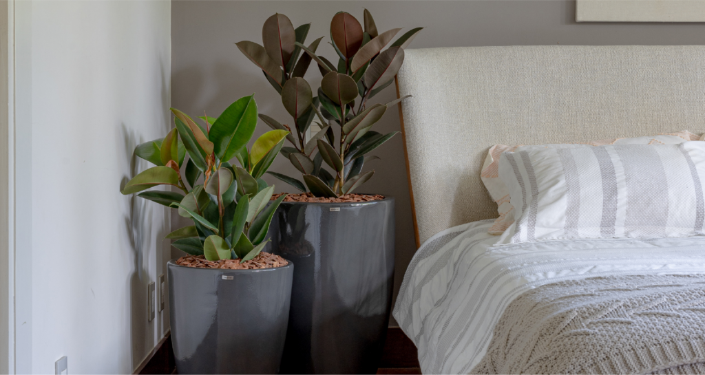 Decoração com Plantas no Quarto: Ideias para um Ambiente Relaxante