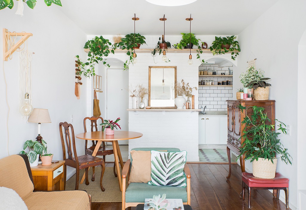 Guia Completo: Plantas de Baixa Manutenção para Apartamentos Pequenos