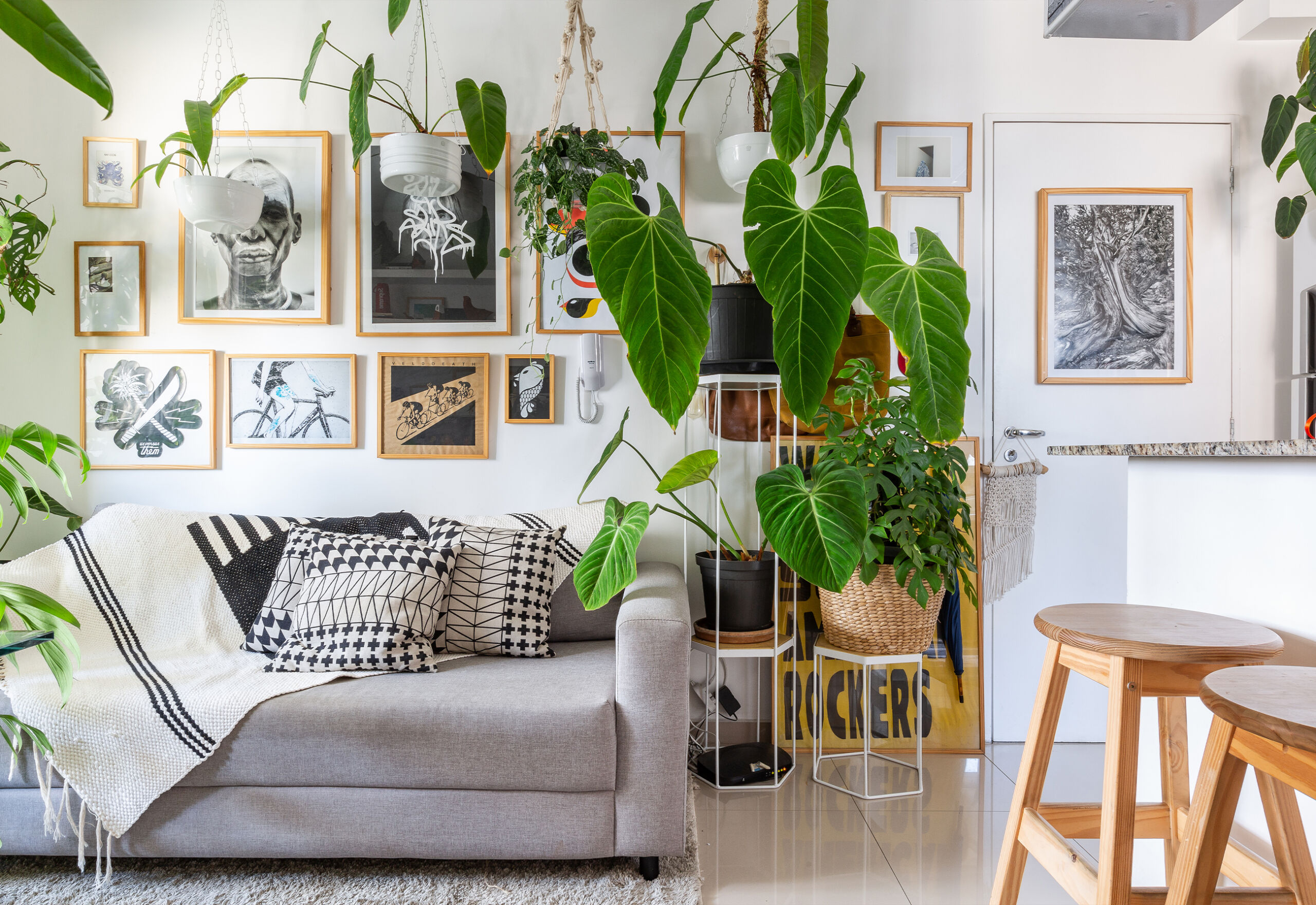 Top 5 Plantas Pet Friendly para Apartamentos: Decore com Segurança