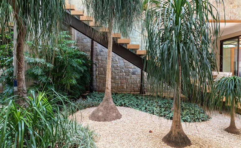 7 Arbustos de Baixa Manutenção para Cercas-Vivas