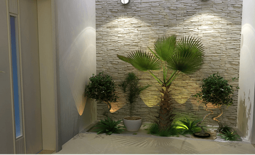 plantas para jardim de inverno com iluminacao artificial