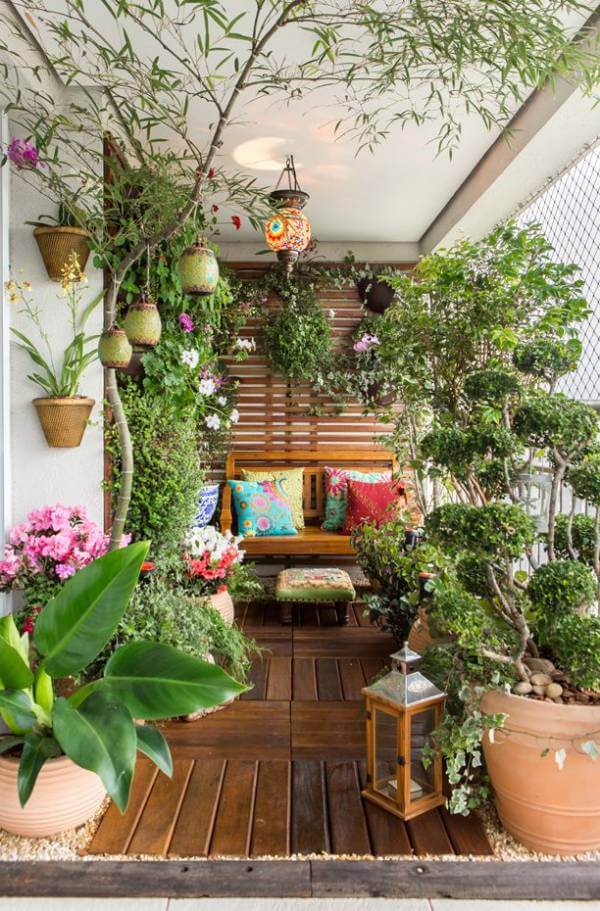 melhores plantas para jardim de inverno com luz artificial