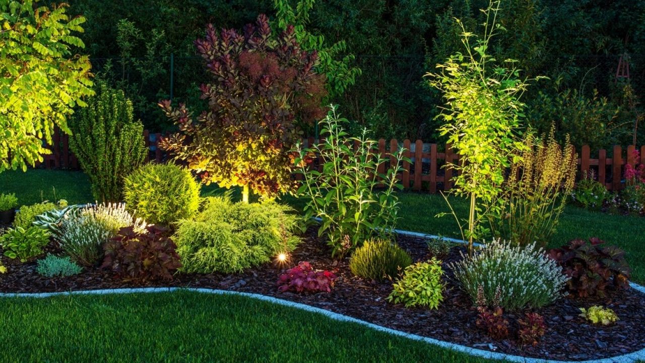 melhores plantas para jardim de inverno com luz artificial