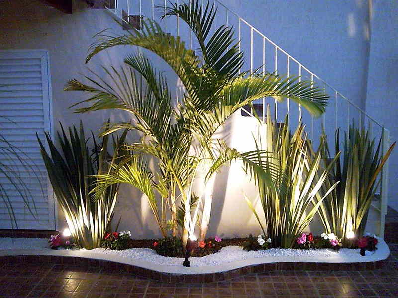 plantas para jardim de inverno com iluminacao artificial