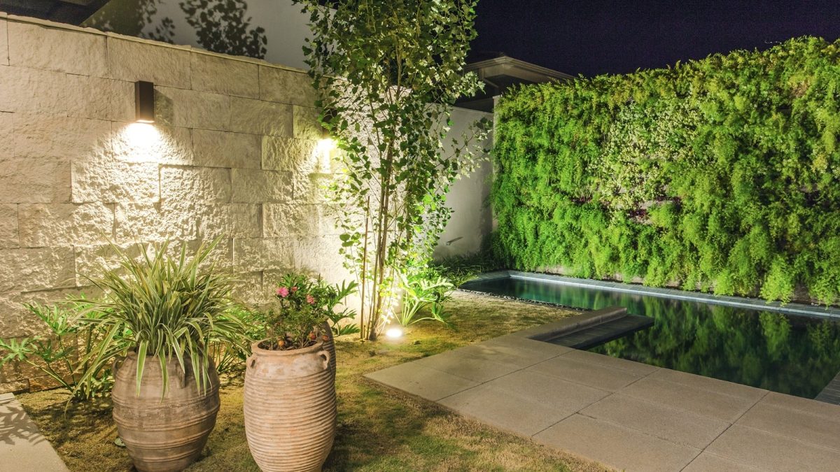 luz led vs fluorescente para plantas de jardim de inverno