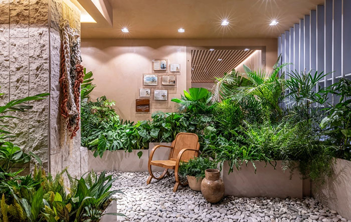 plantas para jardim de inverno com pouca luz