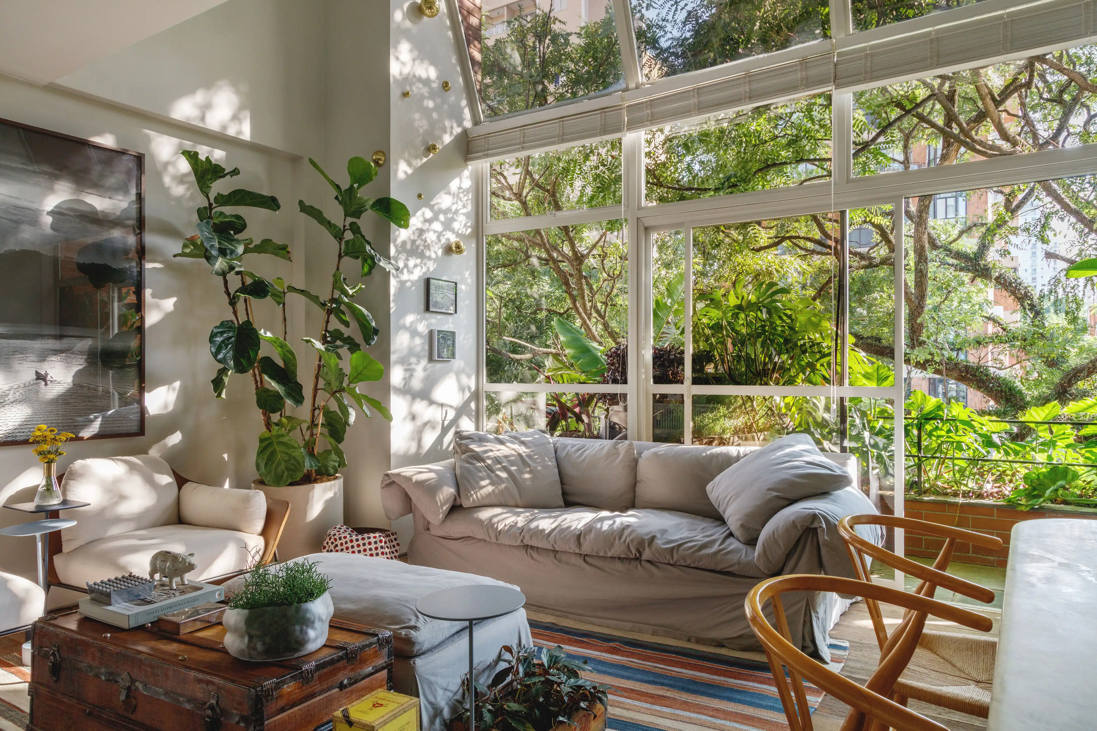 melhores plantas para ambientes com pouca luz e baixa manutenção