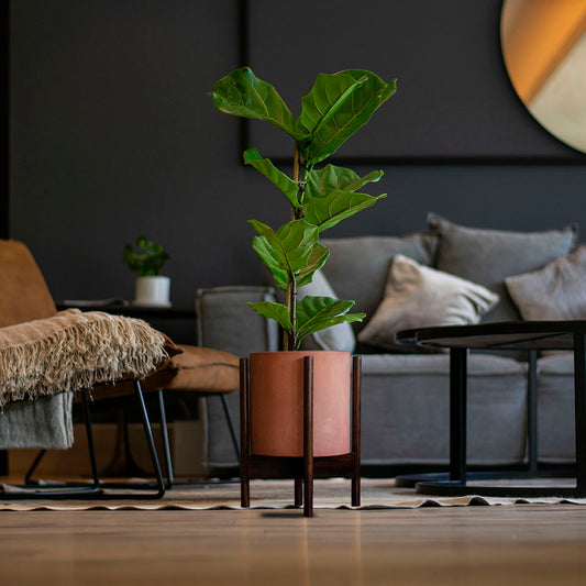 plantas para sala de estar