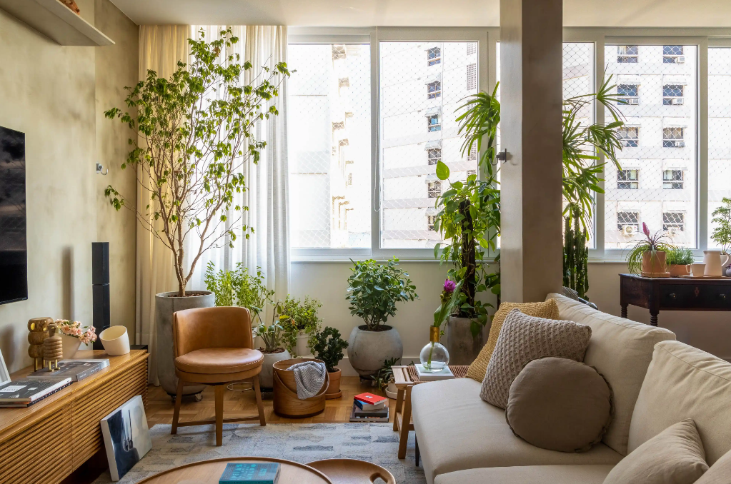 plantas fáceis de cuidar para sala