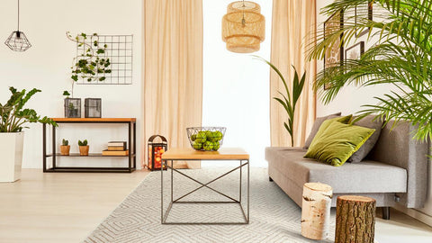 espécies de plantas para decorar sala de estar