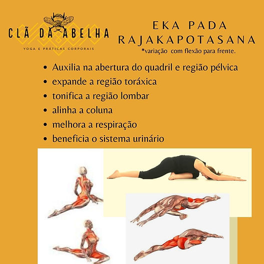 Guia Completo das Variações da Postura do Pombo