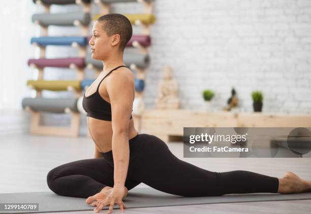 Guia Completo das Variações da Postura do Pombo