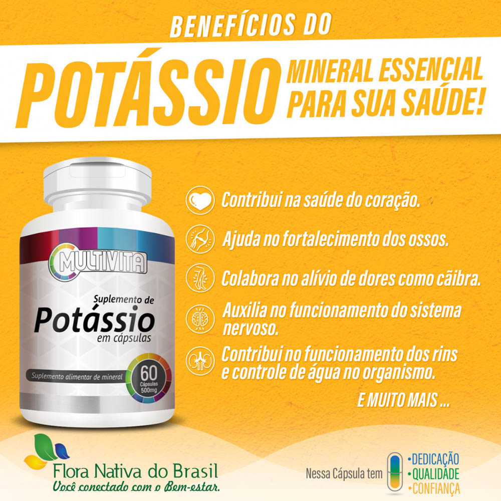 Top 10 Alimentos Ricos em Potássio para Incluir na Sua Dieta Diária