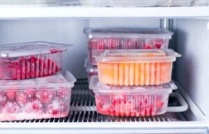 Como Escolher o Pote Ideal para Cada Tipo de Alimento Congelado