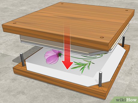 prensa de flores caseira