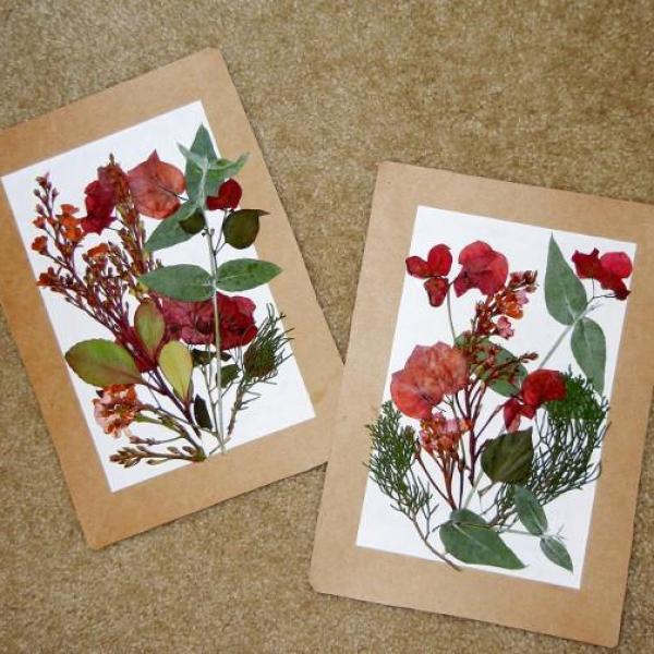 Prensa de Flores Profissional vs. Caseira: Qual Escolher?