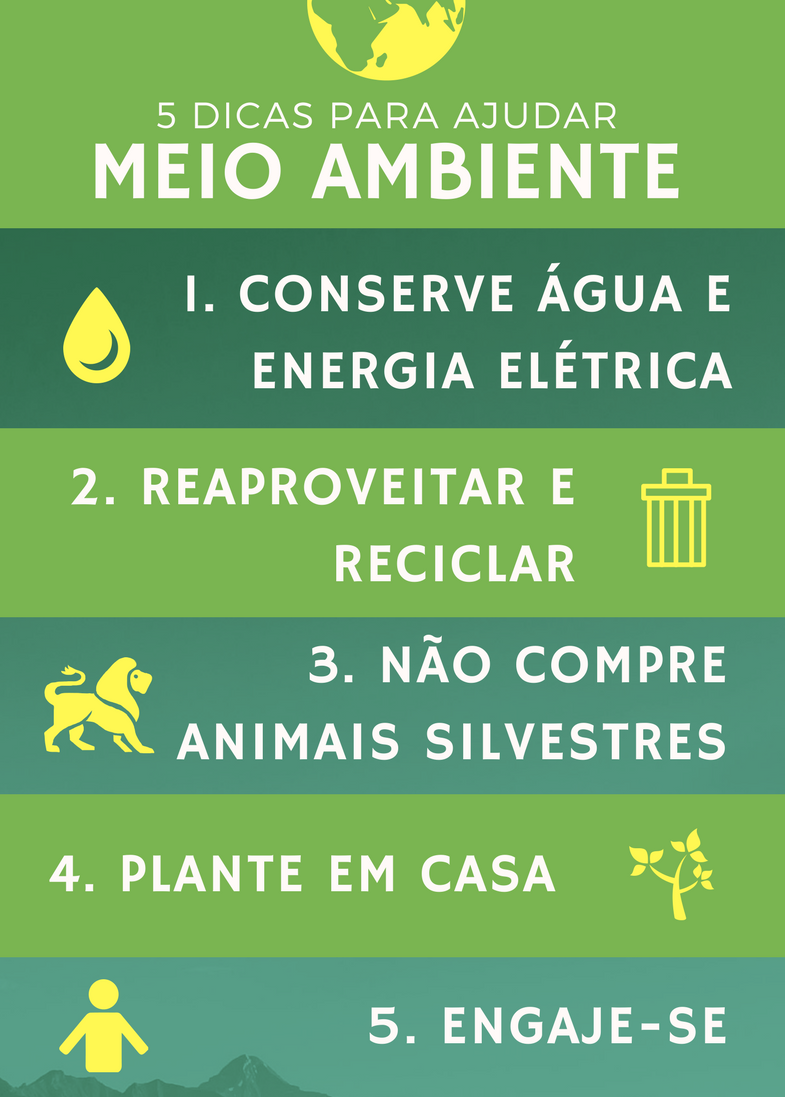 O Papel do Ministério do Meio Ambiente na Proteção dos Ecossistemas Brasileiros