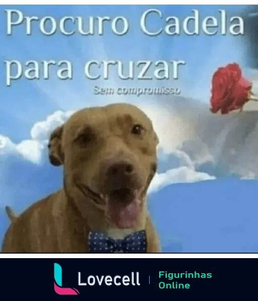 Pesquisa Reversa de Imagens: Ferramentas e Dicas para Descobrir a Origem de Qualquer Foto