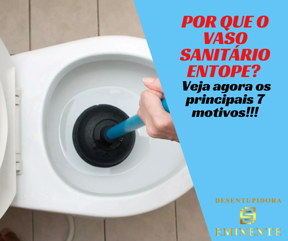 onde comprar desentupidor online