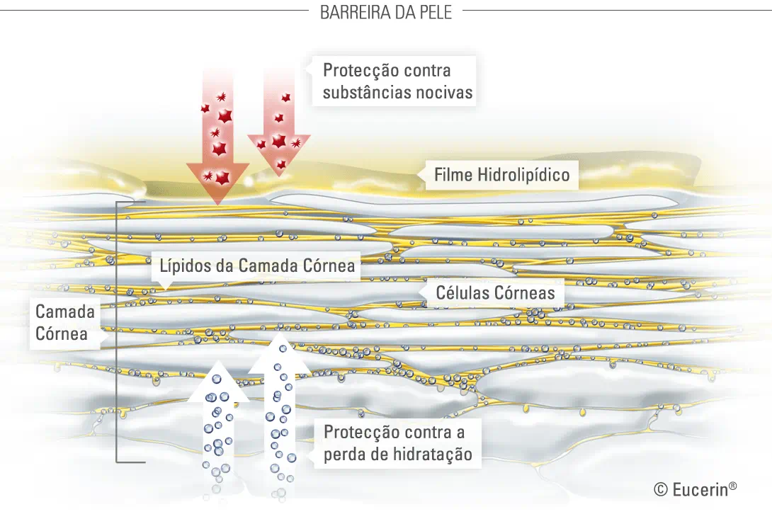 proteção pele danos externos