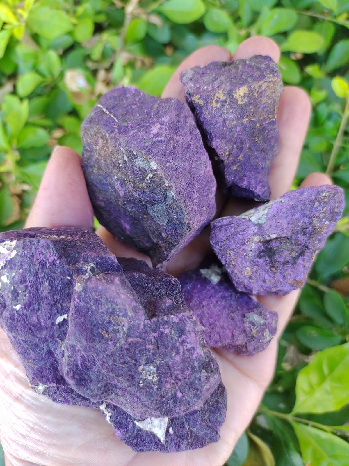 Dicas de Uso da Purpurita para Potencializar sua Energia