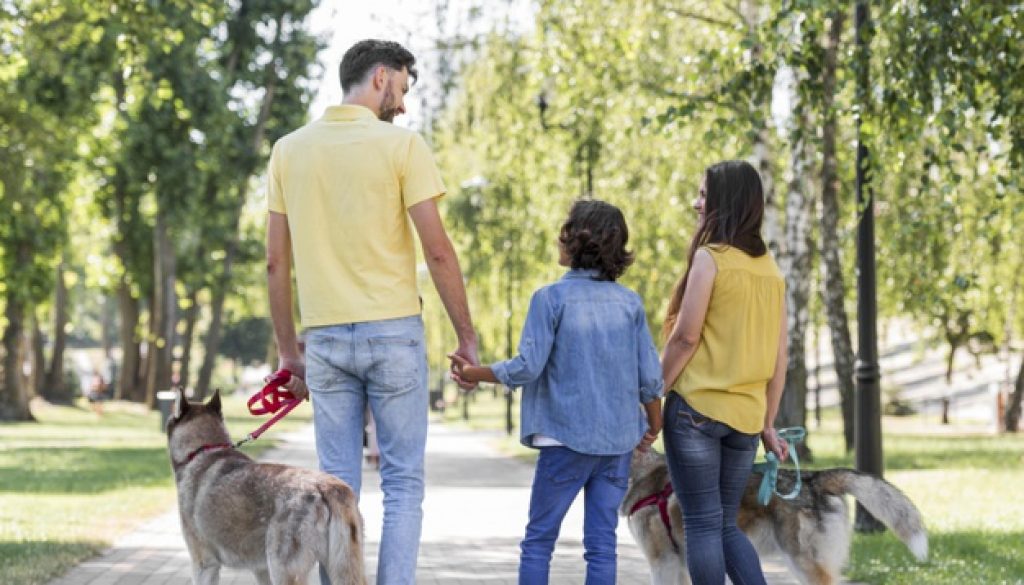 quais sao os bairros mais nobres de joinville para morar