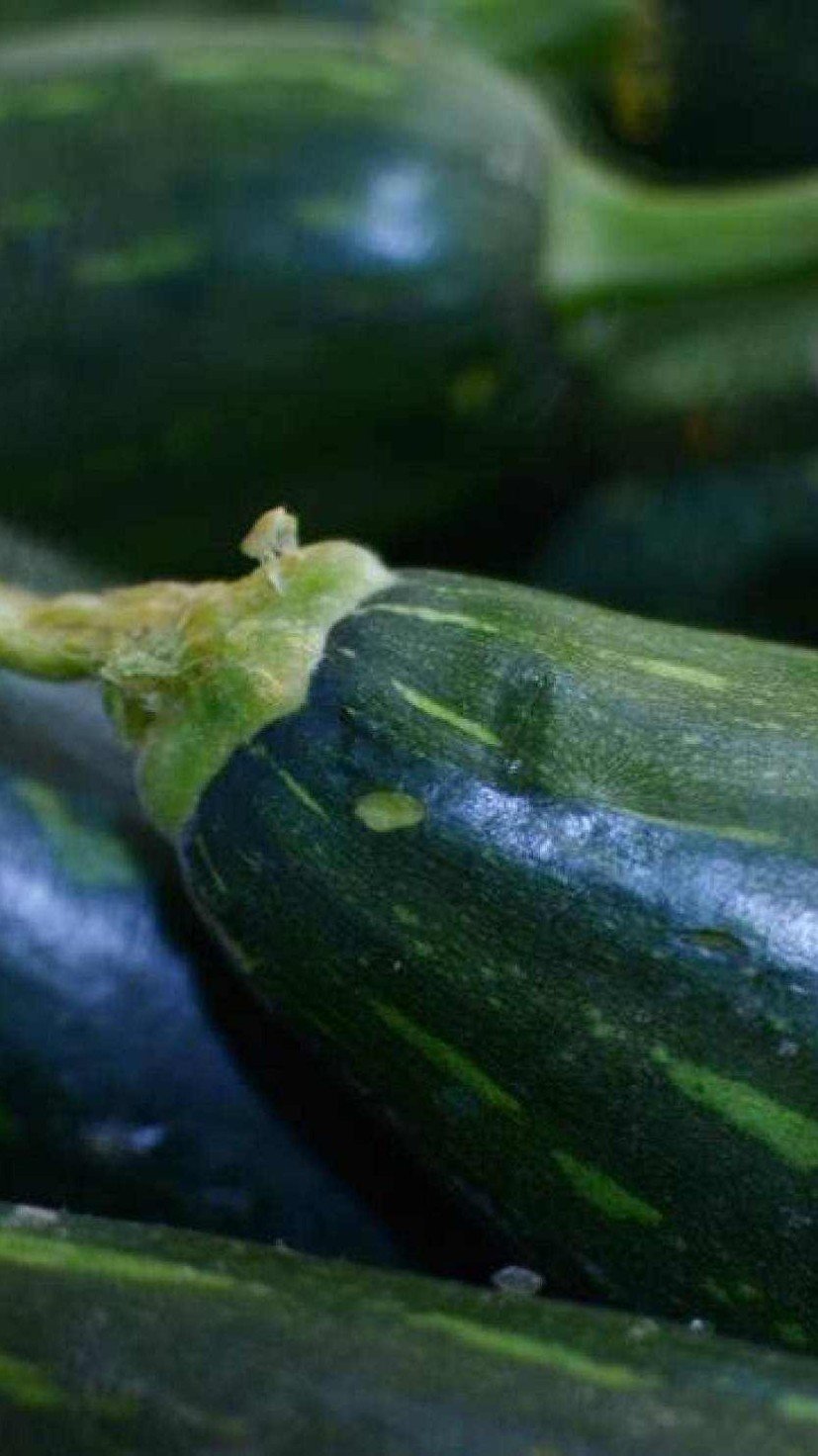 Receitas de Quiabo sem Baba