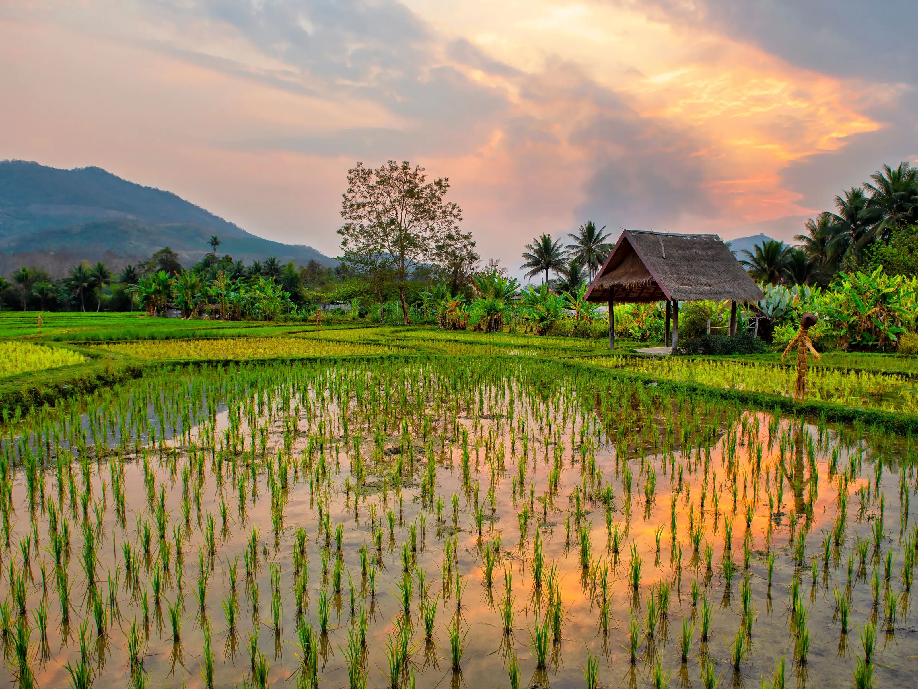 Entenda a Taxa de Avaliação de Imóvel para Financiamento Bancário