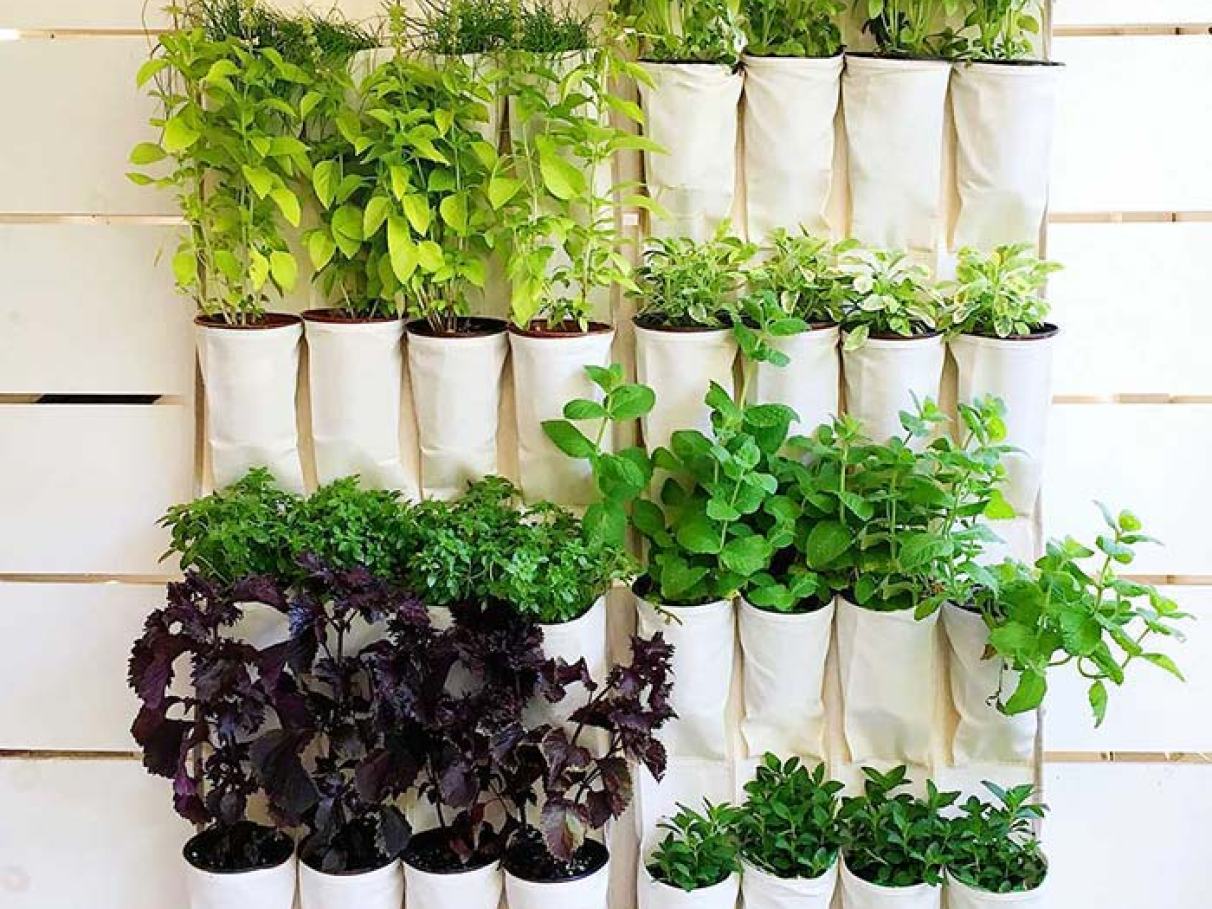 Água e Ventilação