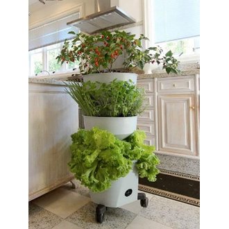 Guia Completo: Como Escolher o Kit de Horta Vertical Ideal para Seu Espaço