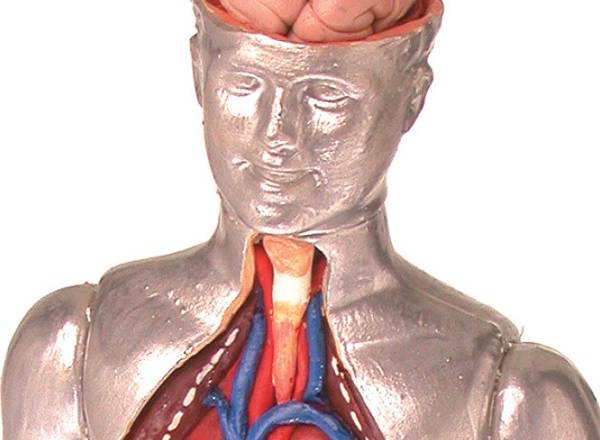 limites de carga para trabalho manual