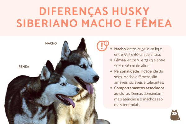 quanto pesa um husky siberiano