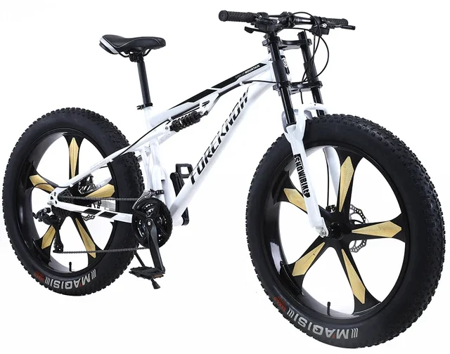 capacidade de carga de diferentes tipos de bicicletas