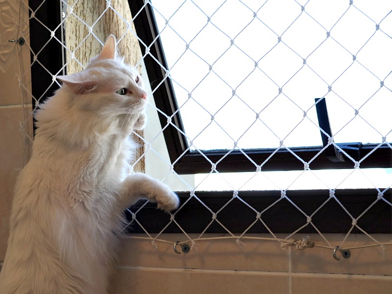 quantos quilos uma rede de proteção aguenta