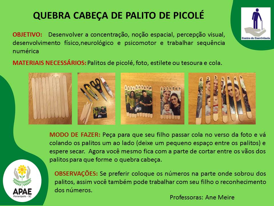 quebra cabea de palito de picol