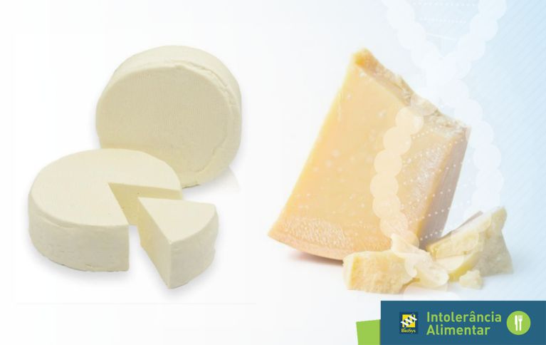 queijo ideal para dieta