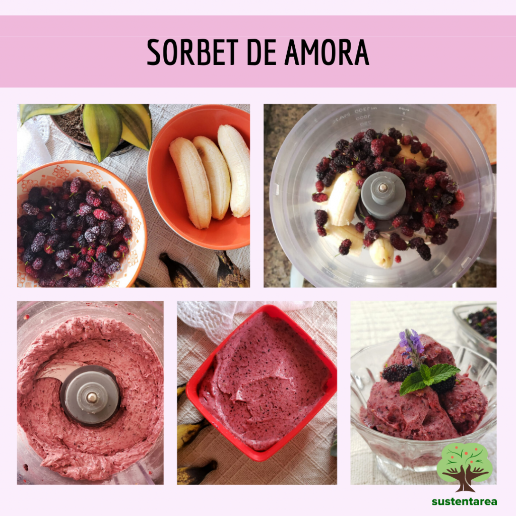 amora nevada receita
